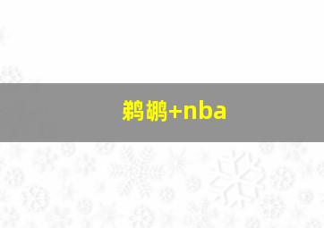 鹈鹕 nba